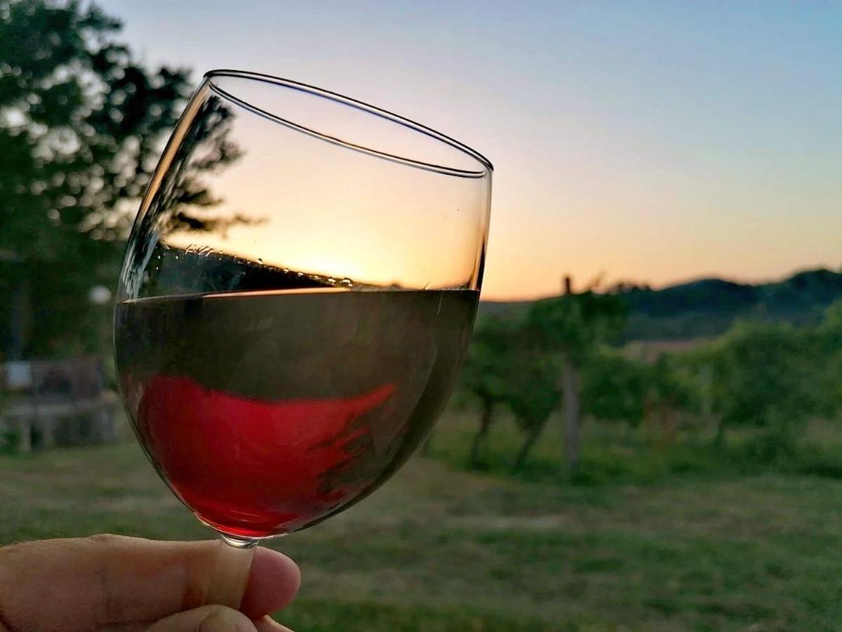 Podere Bellavista Σαν Τζιμινιάνο Εξωτερικό φωτογραφία