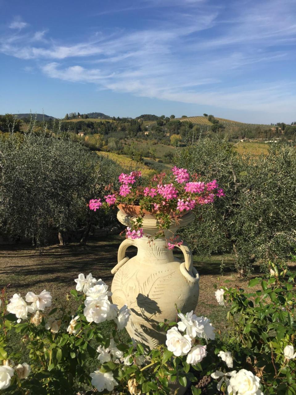 Podere Bellavista Σαν Τζιμινιάνο Εξωτερικό φωτογραφία
