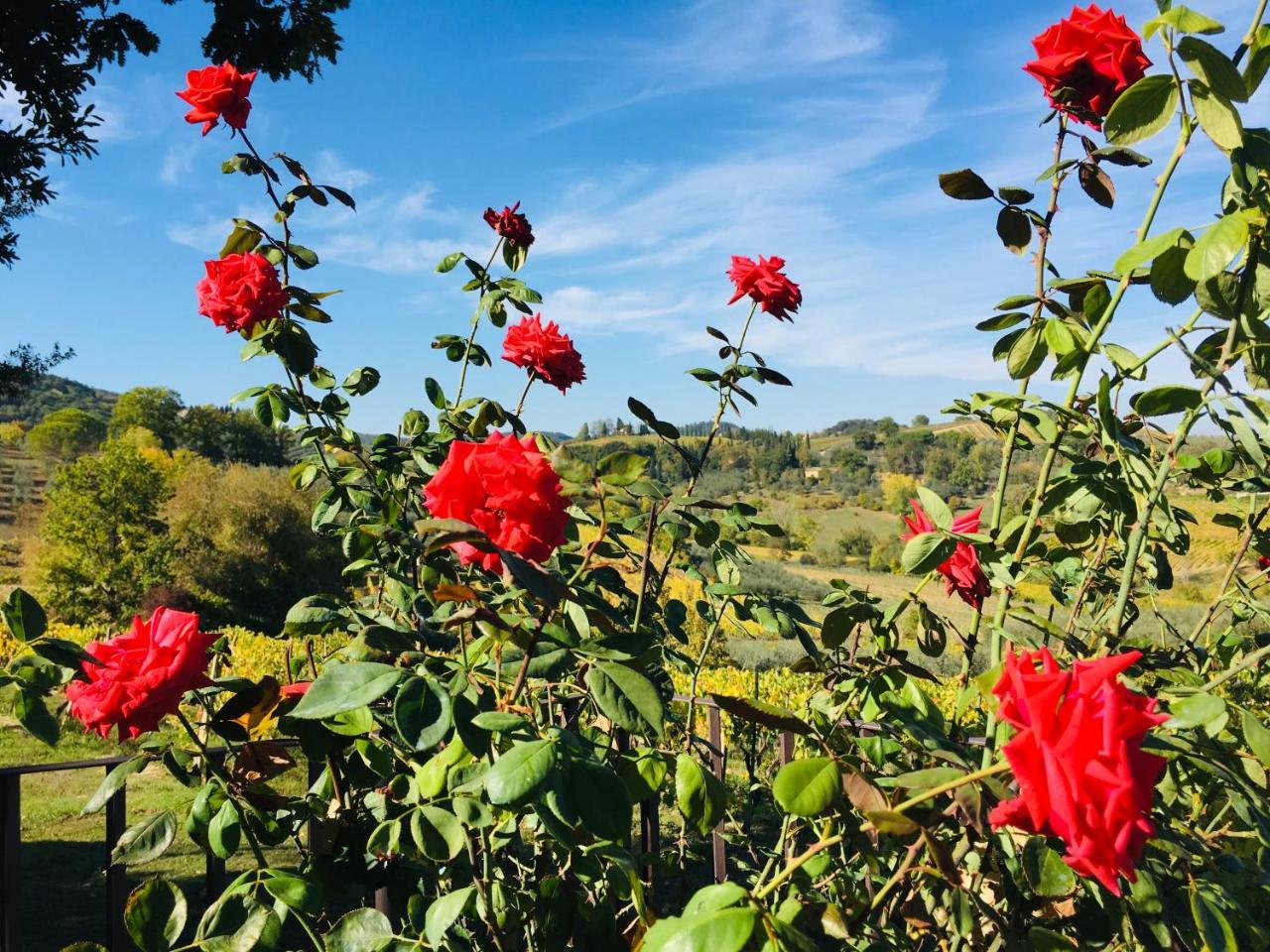 Podere Bellavista Σαν Τζιμινιάνο Εξωτερικό φωτογραφία