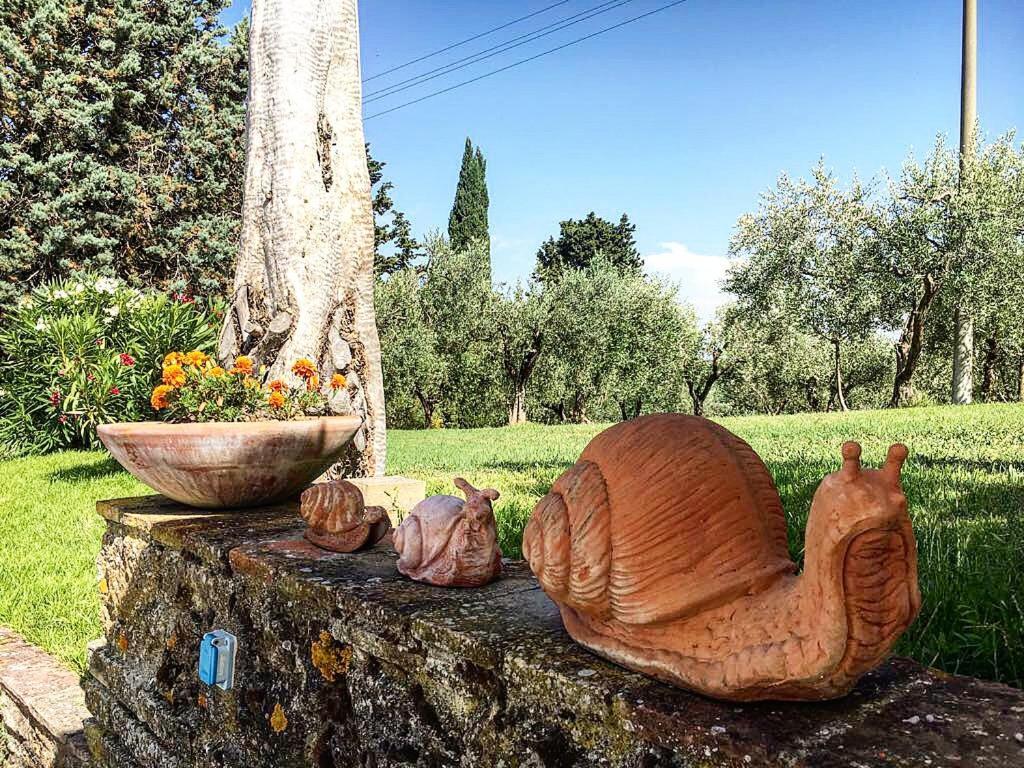 Podere Bellavista Σαν Τζιμινιάνο Εξωτερικό φωτογραφία