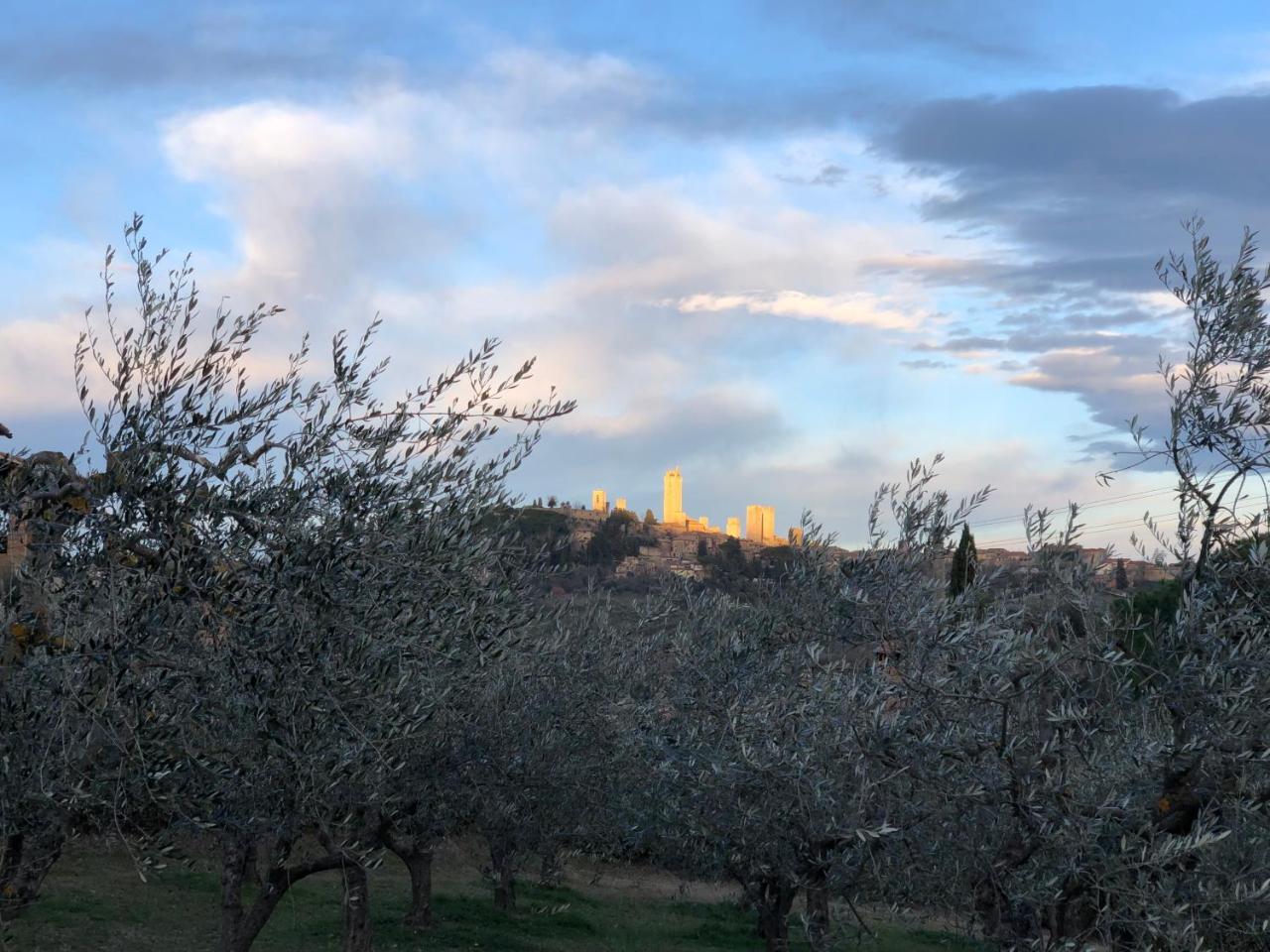 Podere Bellavista Σαν Τζιμινιάνο Εξωτερικό φωτογραφία